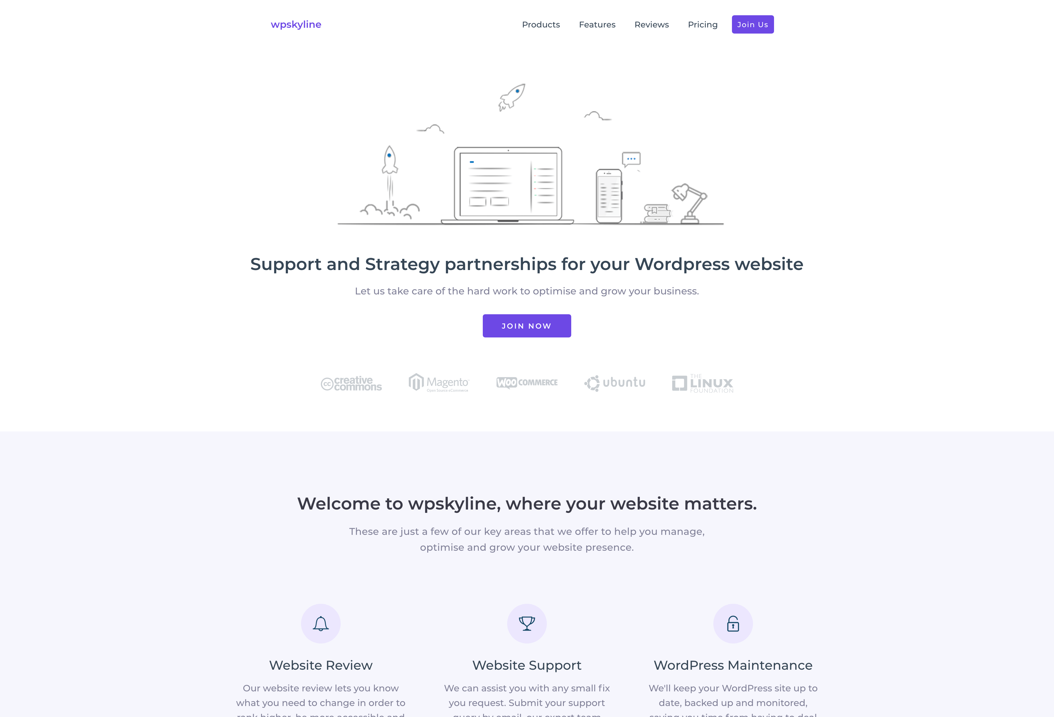 WP Skyline website