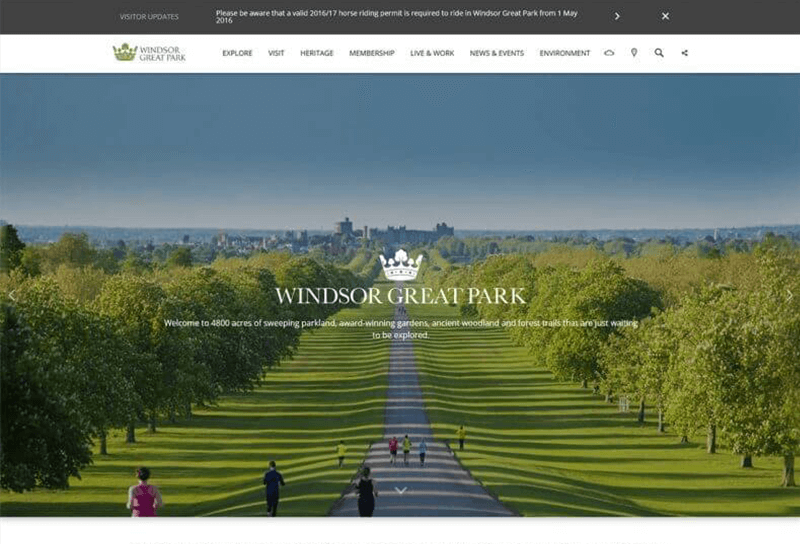 Windsor Great Park project image